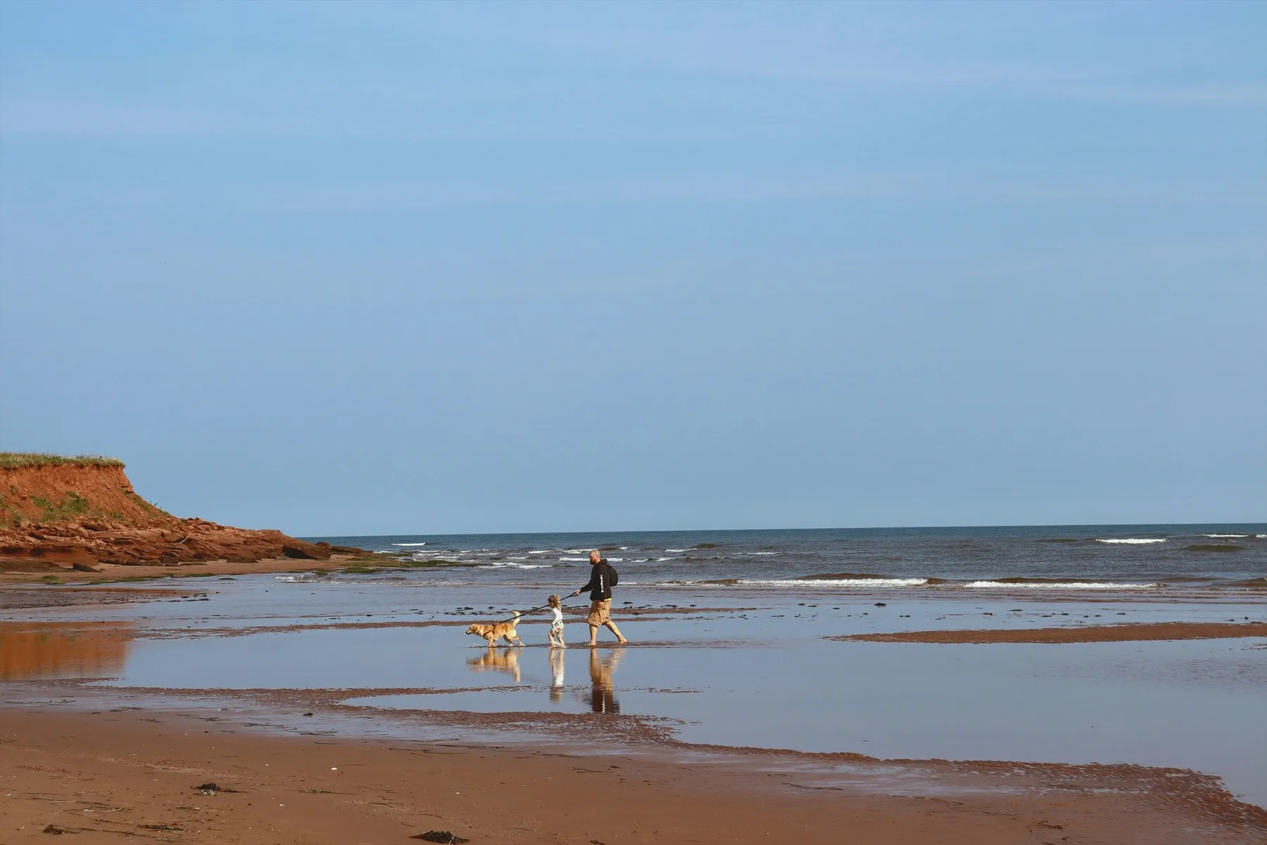 An adult, a small child and a dog walking on a red-sand beach below a sandstone cliff.